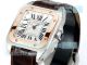Swiss Copy Cartier Santos 100th Anniversary Ladies Watch Two-Tone Rose Gold Bezel (3)_th.jpg
